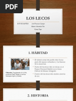 LOS LECOS - e
