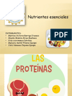 Curso Nutricion y Dietas Nutrientes