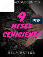 9 meses cenicienta