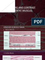 Compare and Contrast Different Muscles: Human Physiology 20368038 V. Nishanthi BCMB