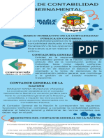 Infografia Contabilidad Gubernamental