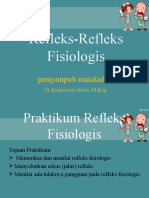 Reflex Patologis