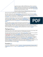 Phylogenetics: Callorhinchus