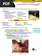 IDEXX CBC Chem Explained | PDF | Renal Function | Creatinine