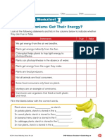 How Do Organisms Get Their Energy?: Consolidation Worksheet