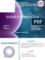 Gametogenesis