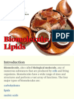 Biomolecule: Lipids: Philippine Christian Gospel School