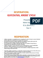 Respiration:: Glycolysis, Krebs' Cycle