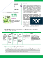 Biologia JA 2do Momento 1era Actividad División Celular