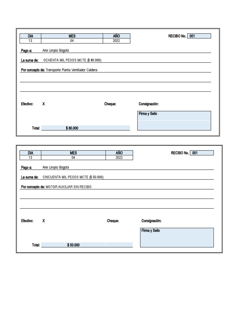 Formato De Recibo De Pago En Word Pdf