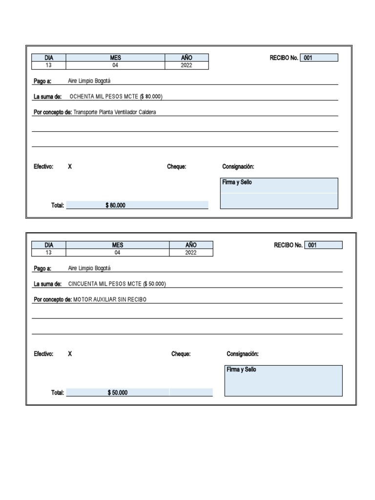 Formato de Recibo de Pago en Word | PDF 