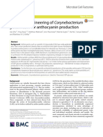 Metabolic Engineering of Corynebacterium: Glutamicum For Anthocyanin Production