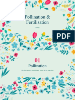 Pollination + Fertilisation