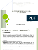 Bases Genetica