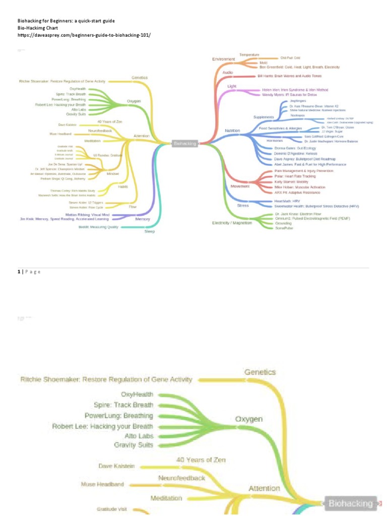 Biohacking Basics for Beginners | PDF | Neural Oscillation ...