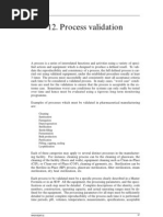 Process Validation Protocol