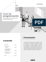 Guía de Programación y Organización de La CAE - EI 2022