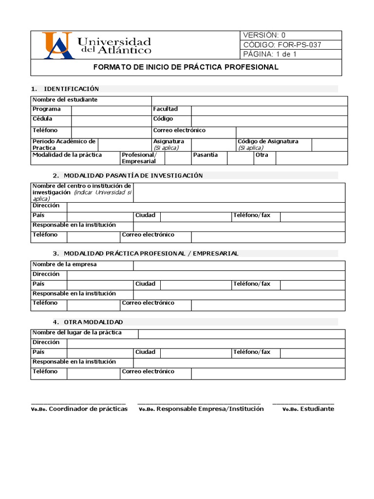 Formato de Práctica Profesional | PDF
