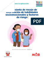 Recojo de Información Vi Ciclo Hse-PDF Element