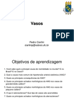 Principais causas de mortalidade e doenças vasculares