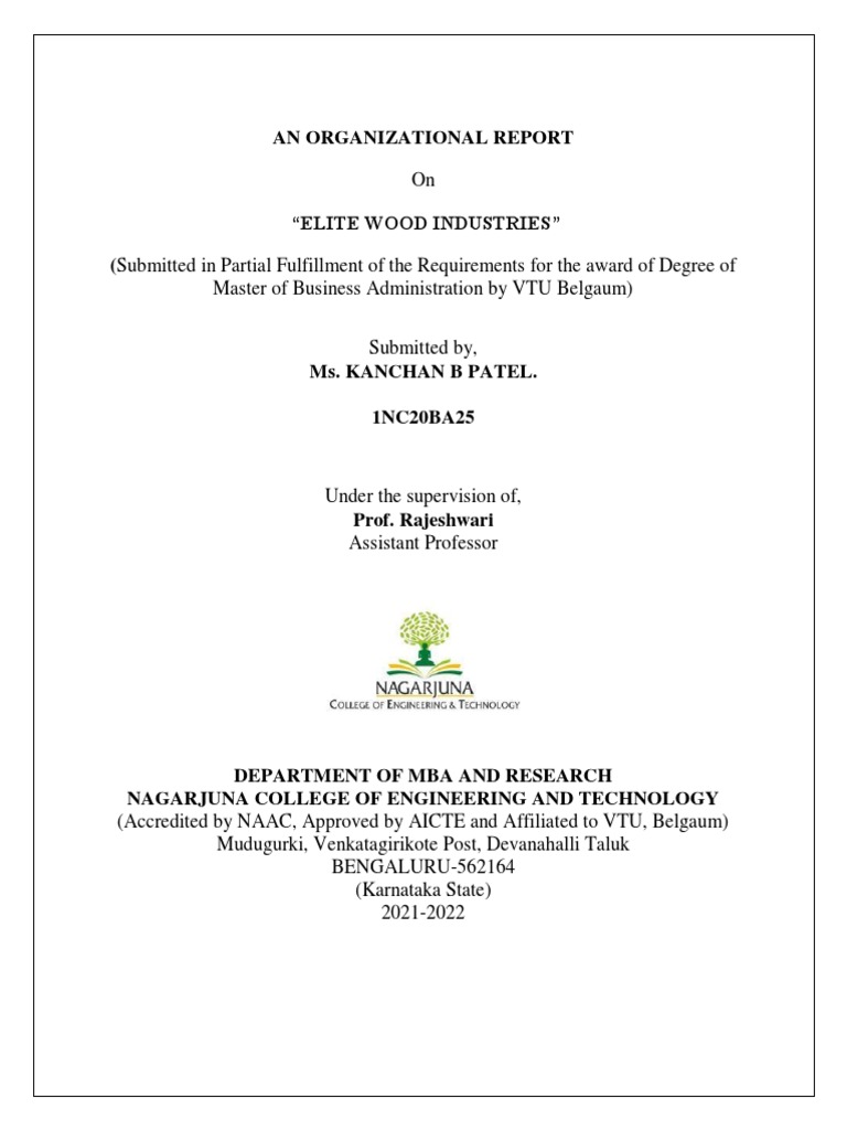 An Organizational Report Template | PDF | Master Of Business
