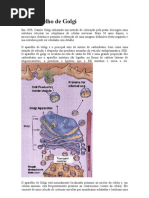 aparelho de golgi