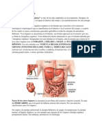 Acupuntura Energética