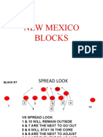 New Mexico Blocks