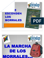 Lo Que Esconden Los Morrales