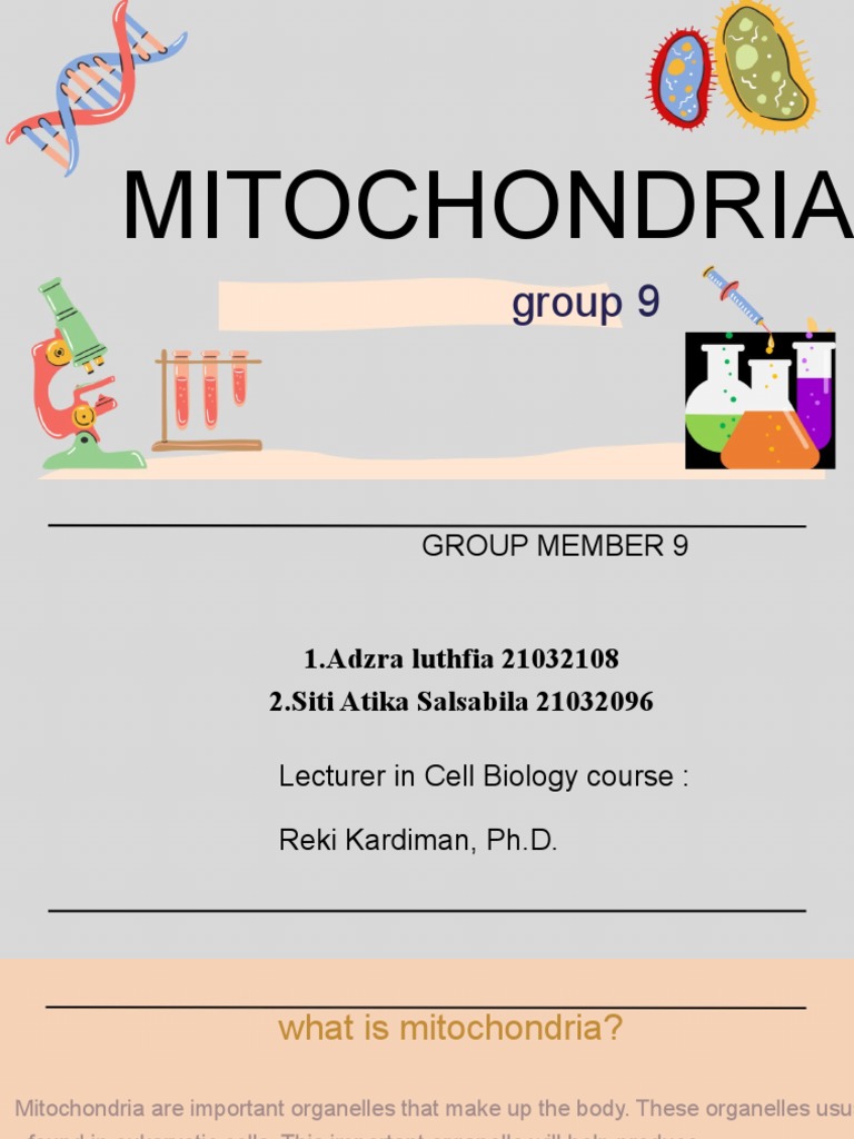 Mitochondria: Structure and Function | PDF | Mitochondrion | Adenosine ...