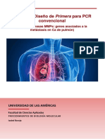 Análisis de primers MMP8 para PCR en Ca pulmón