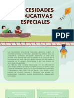 Necesidades Educativas Especiales