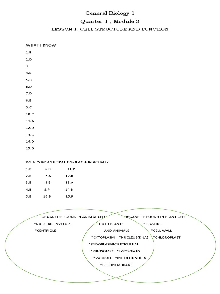 Cell Structure and Function Overview | PDF | Cell (Biology) | Cell Nucleus