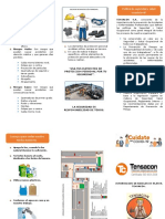 Triptico Riesgos Asociados A La Panta