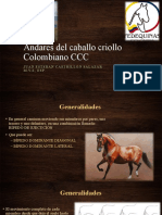 Andares Del Caballo Criollo Colombiano CCC