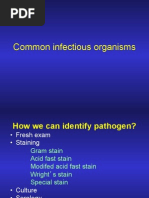 Download Organism by Rapid Medicine SN57206638 doc pdf