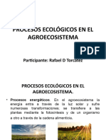 Procesos Ecológicos en El Agroecosistema