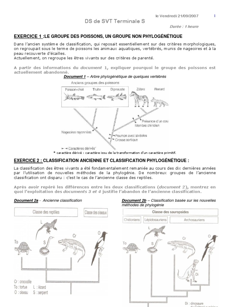 Exercice En Ligne Classification Des Animaux Cm1 Ts | PDF | Phylogenèse | Reptile
