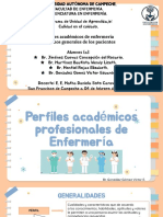 Perfil de Enfermería y Derechos de Los Pacientes.