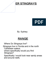 Super Stingrays, by Sydney