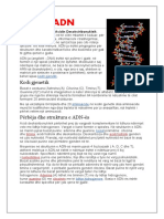 Kodi Gjenetik: ADN Është Akronim Për Acidin Desoksiribonukleik
