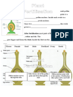 Plant Fertilisation: After Fertilisation Most Parts of The