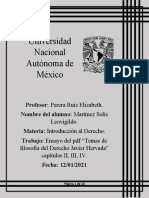 Ensayo Temas de Filosofia Del Derecho - Martinez Solis Leovigildo - 1103