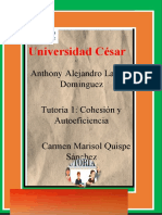 Universidad César Vallejo - Tutoría 1 de Anthony Lachira Dominguez