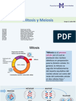 Mitosis y Meiosis Presentación Grupo 11 Biología Salon 406