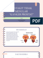 Penyakit Tidak Menular "Kanker Prostat": Audi Priskila Blegur 2007010061