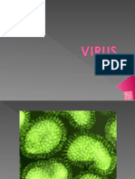 Virus Ultimo