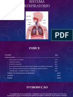 Sistema Respiratório