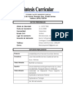 Sintesis Curricular Yunior