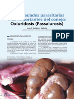 Patologia Enfermedades Parasitarias Oxiuridosis Pasaralus